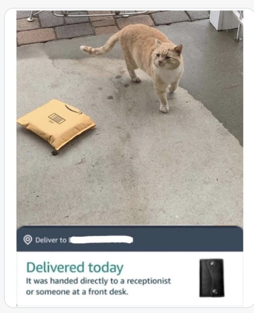 Catwheezie's Stash (@realcattohours) on Twitter photo 