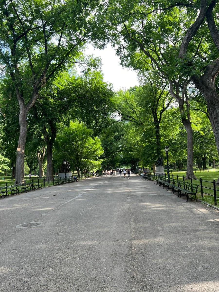 S9BManado's tweet photo. An early morning walk improves overall health😃 https://t.co/oqW5CFBWEz