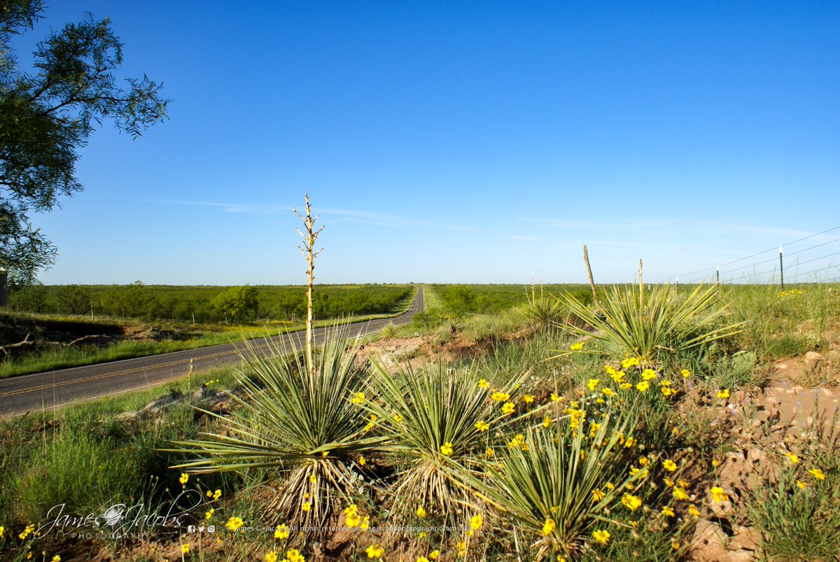 JmsGJacobsPhoto's tweet photo. Nothing like them West Texas highways and byways! https://t.co/GA5w8ET3Rl