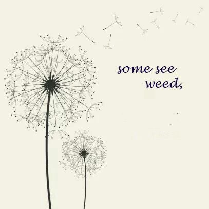 mister crank tweet media