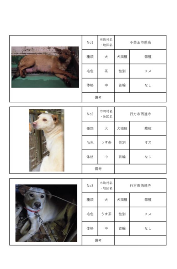 茨城県動物指導センターで保護している、迷子の犬猫の公表情報です。🐕🐈
お心当たりの飼い主様は動物指導センターにお電話ください‼️
動物指導センター
☎︎0296-72-1200(受付時間：平日8:30〜17:15)

6月12日(月) 公表情報