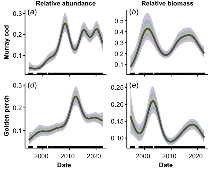 New Paper! Using a massive database we present long term trends in abundance, biomass and size structure for six key large-bodied species in the NSW Murray-Darling Basin doi.org/10.1071/MF23046 @AustSocFishBiol Trends are presented at both the basin and valley scales!