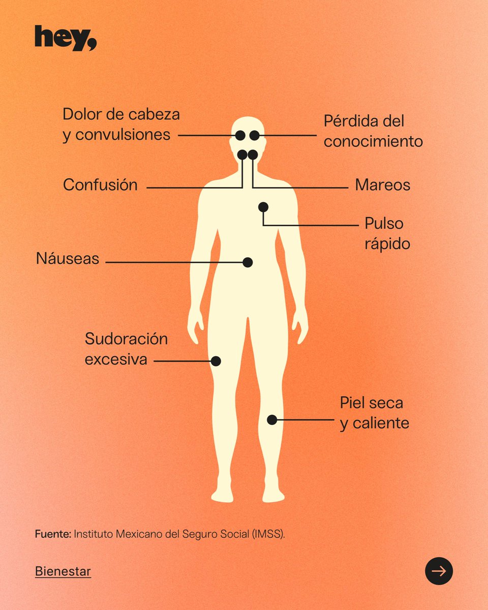 mediaheyinc's tweet photo. La tercera onda de calor llegó con todo y seguirá presente en el país, por lo que se espera que en 22 estados se registren temperaturas de hasta 45 grados centígrados.🌡️☀️

🥵Aquí te compartimos algunas recomendaciones para sobrevivir a esta #OlaDeCalor: https://t.co/NOUHQxQtSE