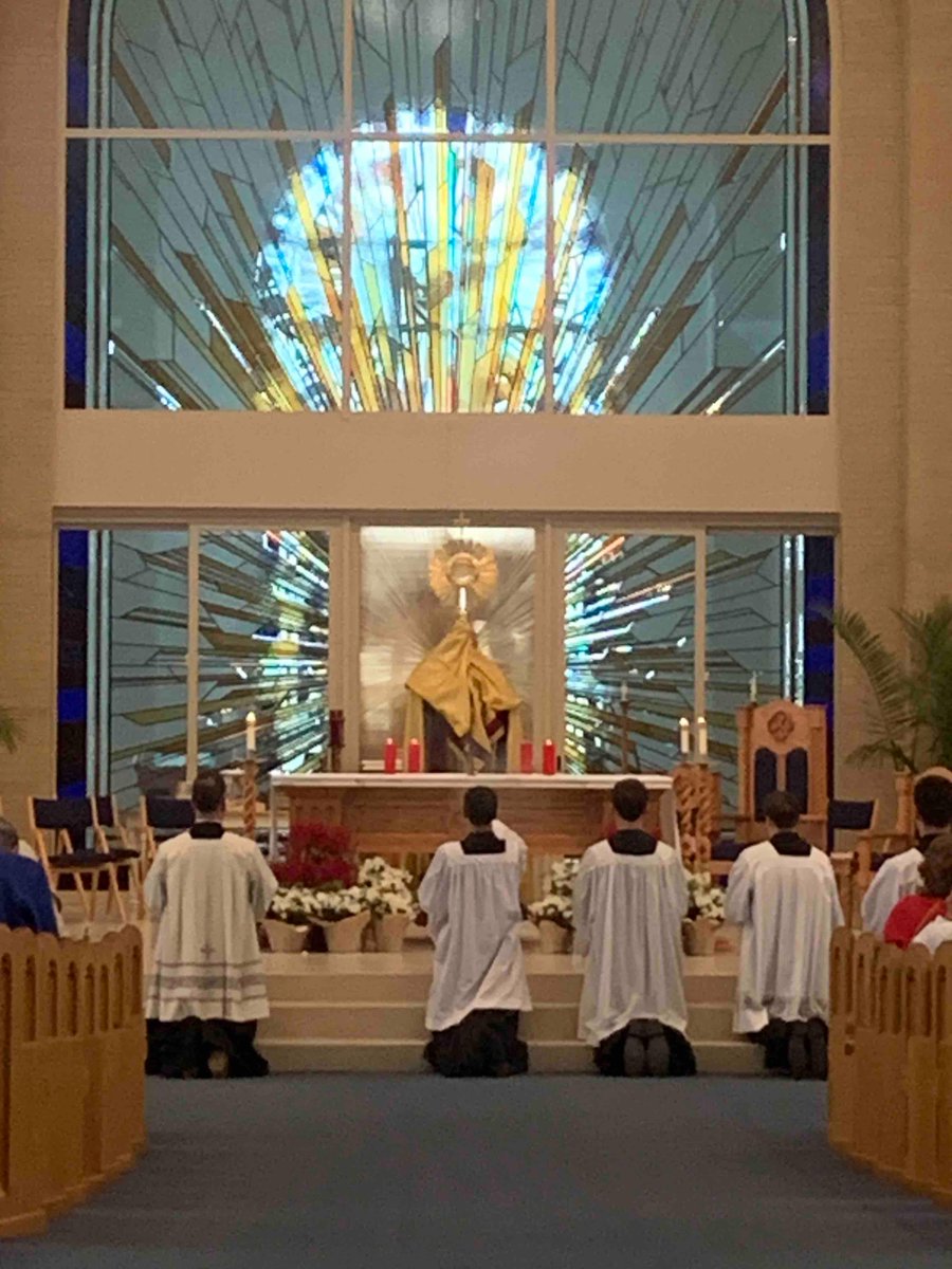 Even rain couldn’t dampen our love of the Blessed Sacrament yesterday. Thank you to the large crowd who were able to join us at SMG for the tri-parish Mass and Holy Hour. 

Soul of Christ, sanctify me.
Body of Christ, save me.
Blood of Christ, inebriate me.
Amen.