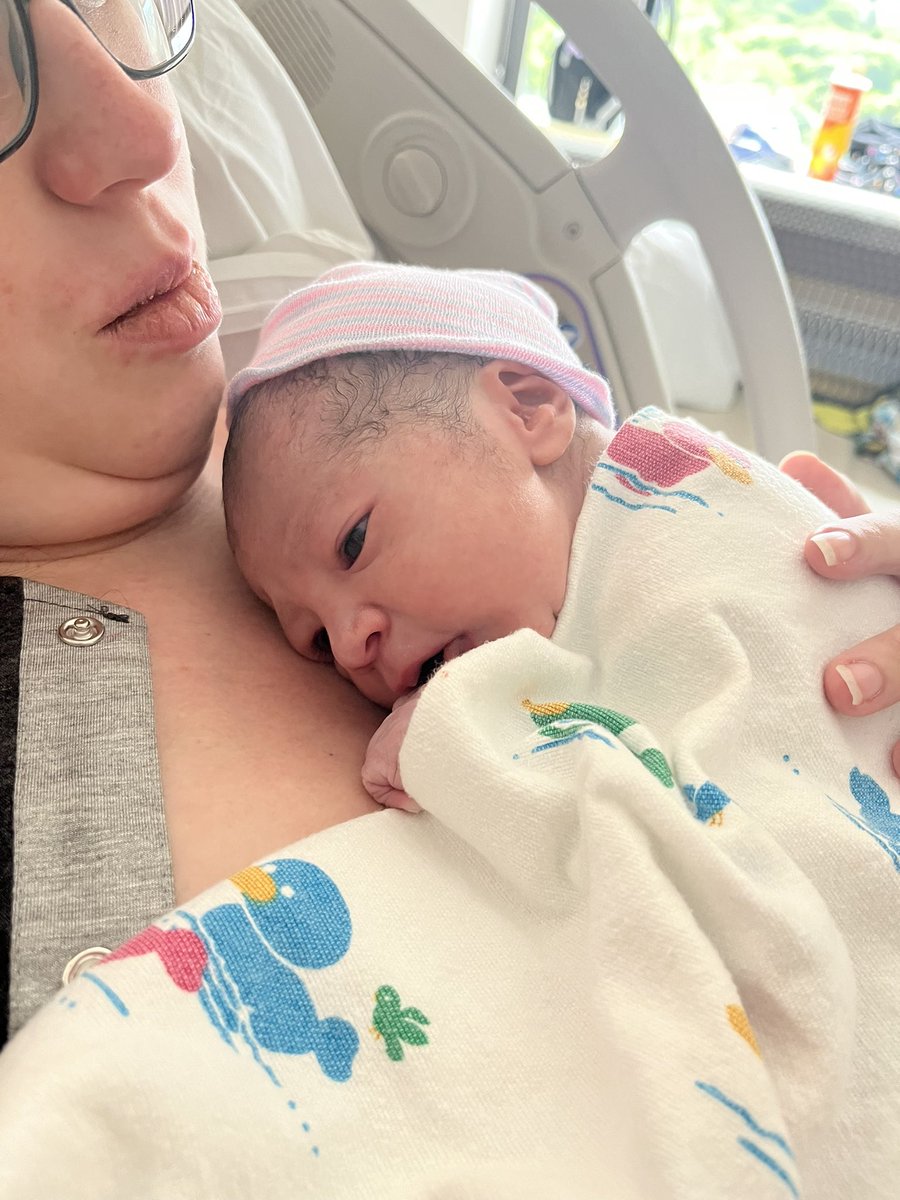 LadyKattness tweet media