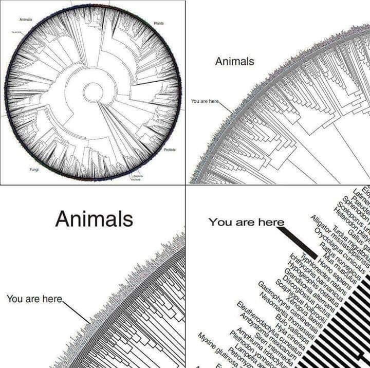 We’re a piece of the puzzle… the sum greater than its parts. 🙏🌍🕊️ 📷 Give A Shift About Nature