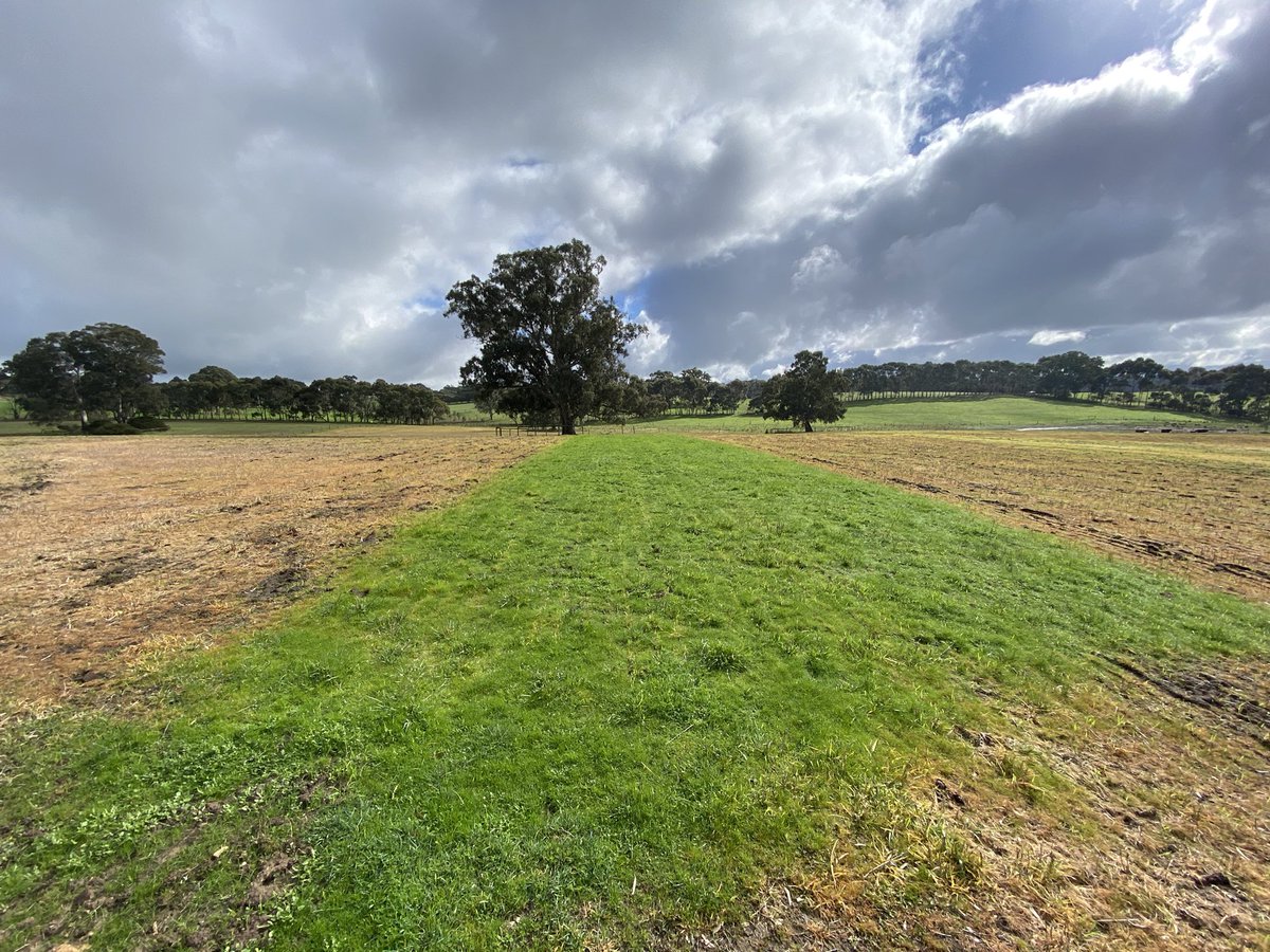 SprayShop tweet media