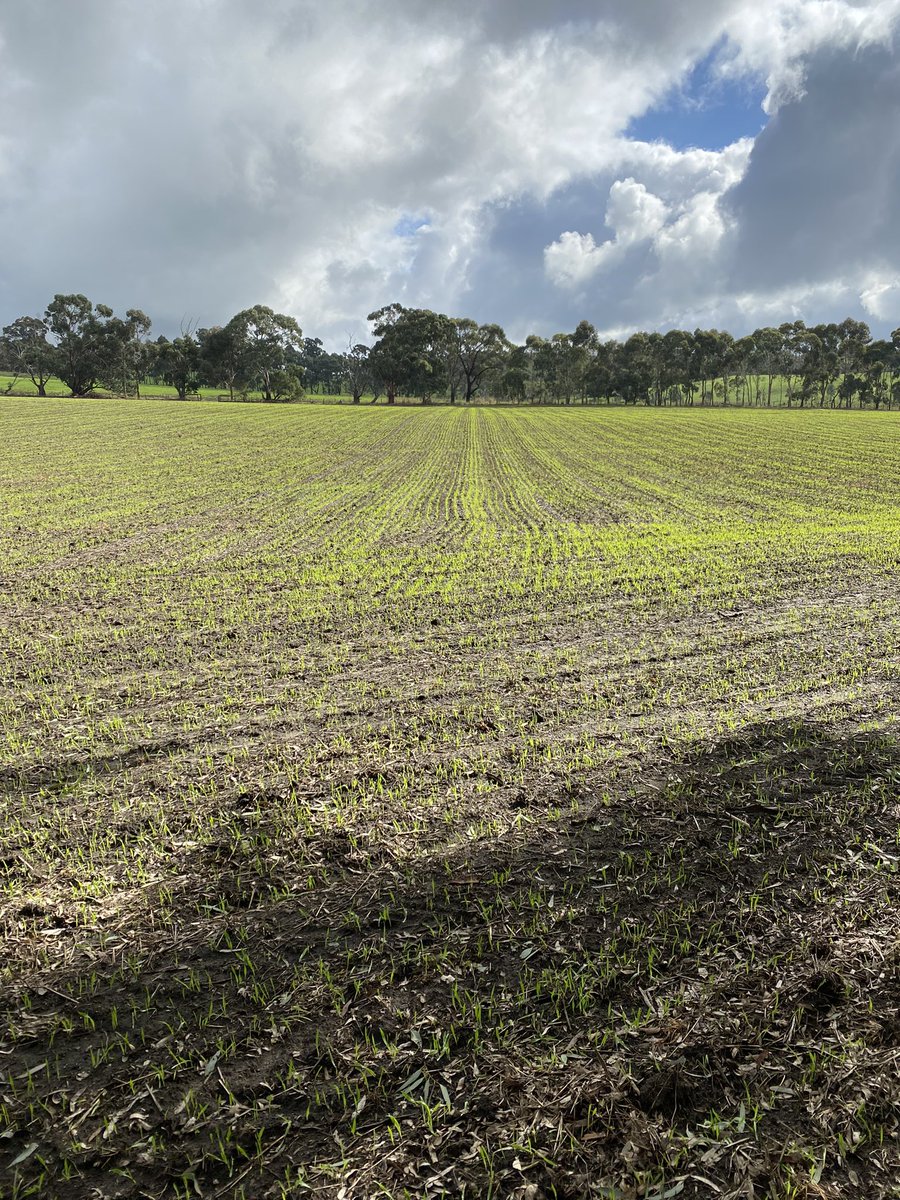 SprayShop tweet media