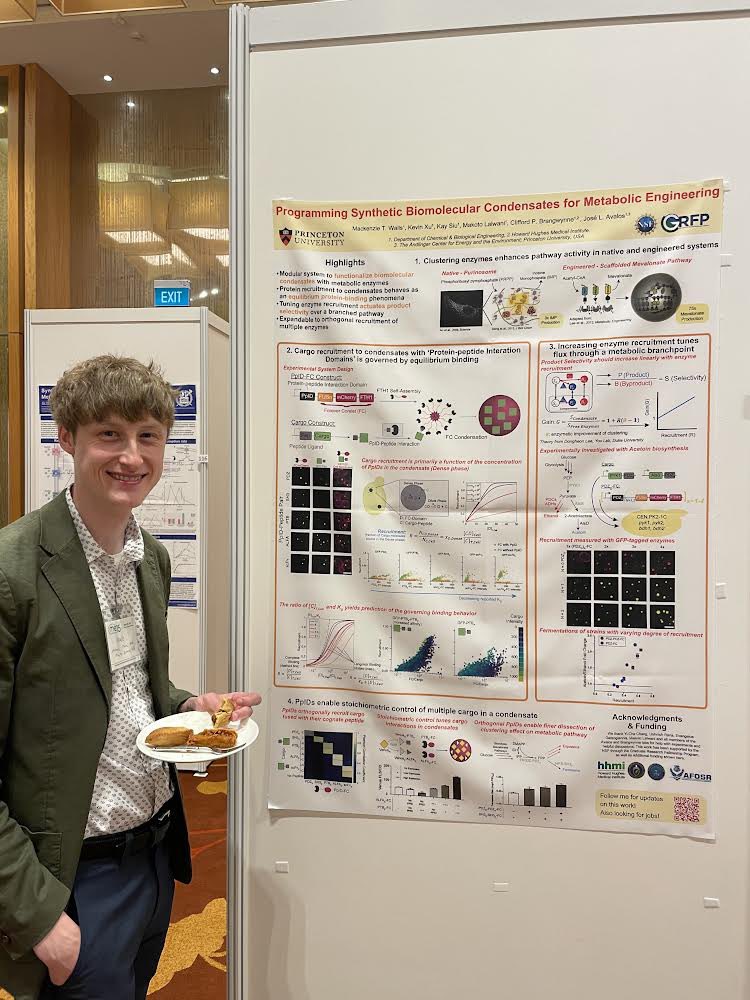 Mack Walls (@m_t_walls) on Twitter photo Having a great time sharing my work on synthetic biomolecular condensates as engineered metabolons at <a href="/ChEnected/">American Institute of Chemical Engineers (AIChE)</a> #ME15 #MetabolicEngineering conference! Come by poster 137 this afternoon to chat more about my work with <a href="/javalosLAB/">Jose L. Avalos</a> <a href="/brangwynnelab/">brangwynnelab</a> Having a great time sharing my work on synthetic biomolecular condensates as engineered metabolons at <a href="/ChEnected/">American Institute of Chemical Engineers (AIChE)</a> #ME15 #MetabolicEngineering conference! Come by poster 137 this afternoon to chat more about my work with <a href="/javalosLAB/">Jose L. Avalos</a> <a href="/brangwynnelab/">brangwynnelab</a>