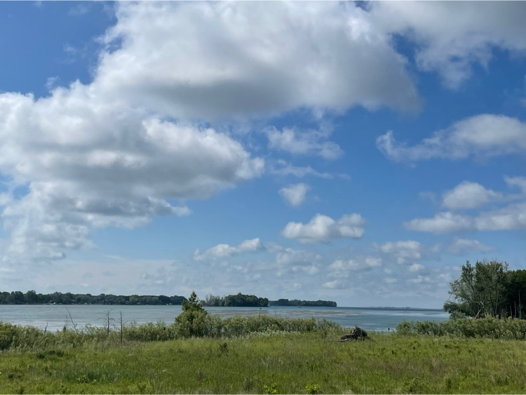 Amy Conway tweet media