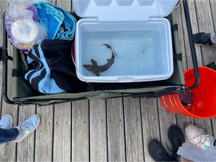 Amy Conway tweet media