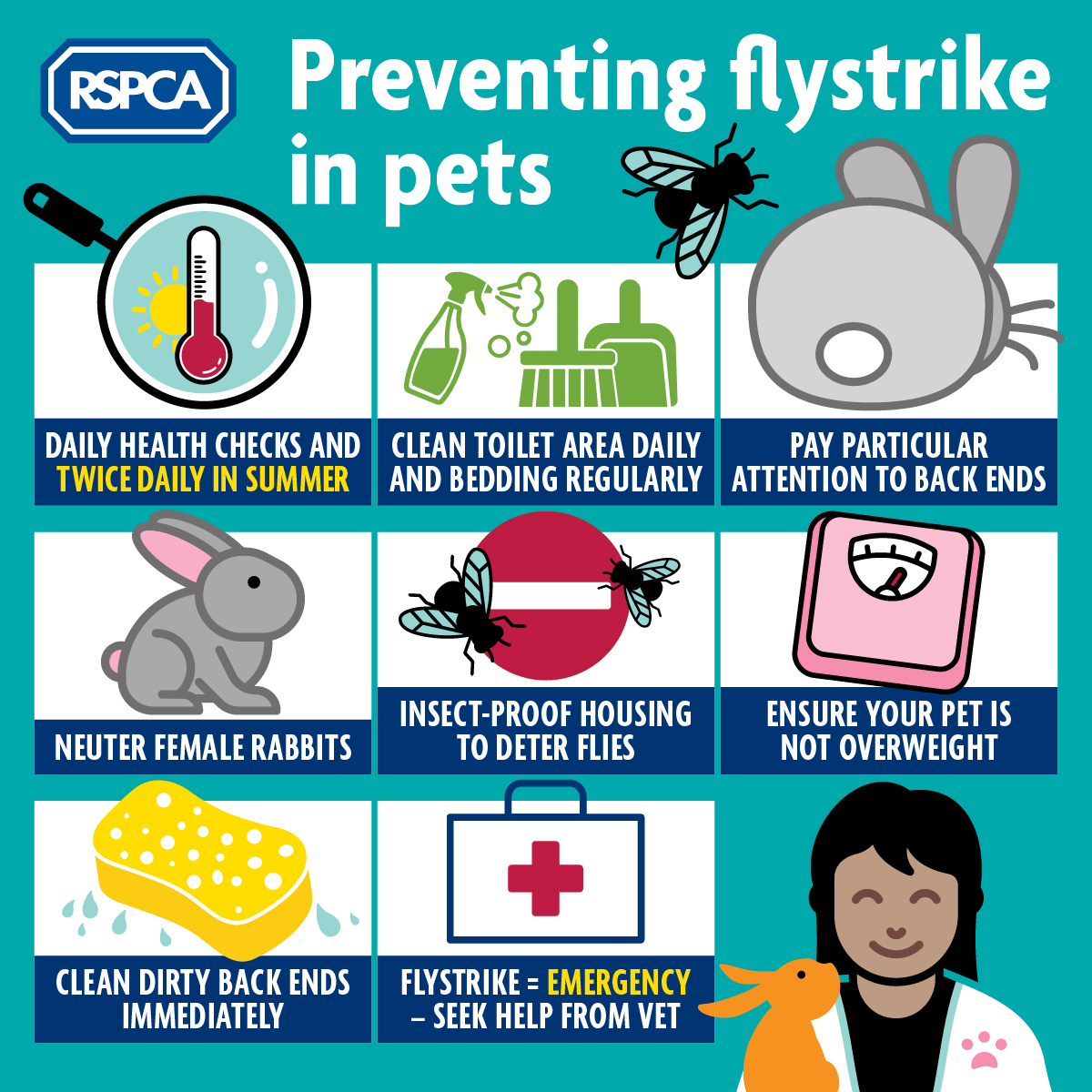 RSPCASouthBucks's tweet photo. #Flystrike is a painful and sometimes fatal condition, caused by flies laying their eggs on another animal. These hatch into maggots, which eat the flesh of their hosts. If your pet becomes infested, seek help from a vet immediately.
https://t.co/I4HpGIfxtV has more info. https://t.co/hzI2CkJKgM