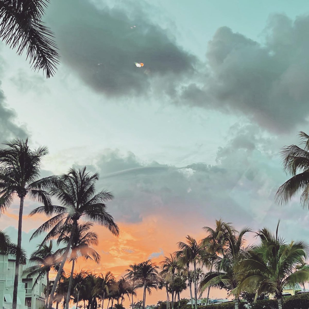 PartyInKeyWest's tweet photo. Coming or going? She's so lovely either way. #sunset #keywest #islandsunset ๐ท @jaanaa0801
More: https://t.co/QtRb8xssq5
Follow us: @PartyInKeyWest
Hashtag us: #PartyInKeyWest https://t.co/83jjYUnYfJ