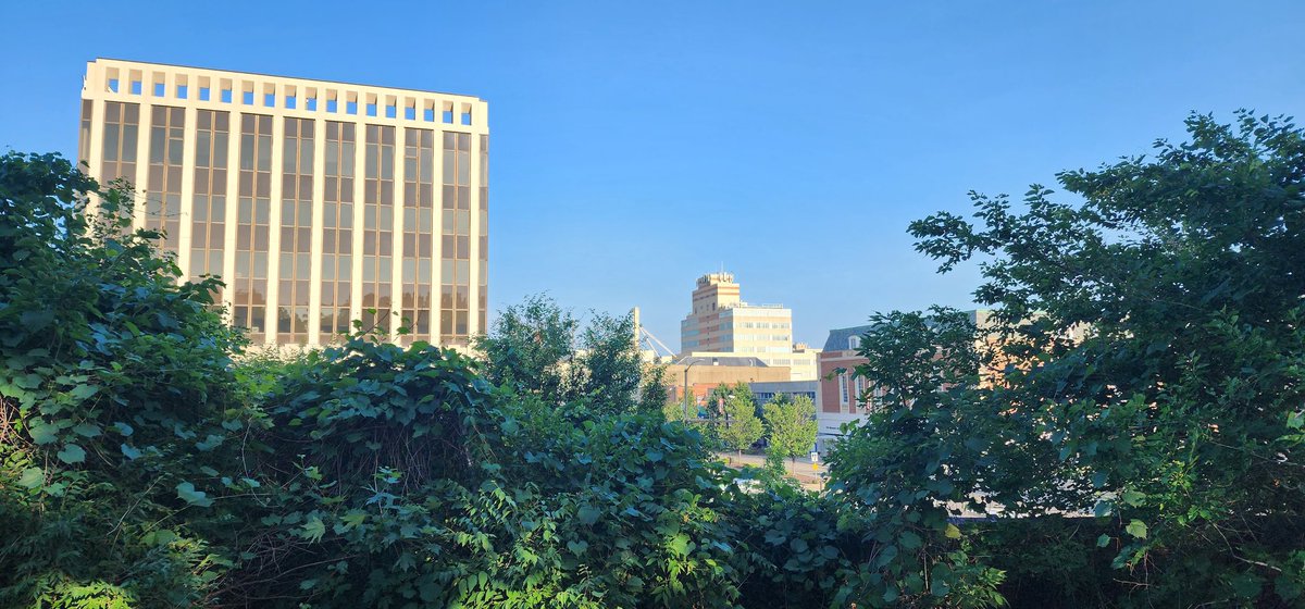 Clayton Hensley (@knoxroadtripper) on Twitter photo Kansas City, KS is filled with surprises and is great to explore. Certainly less busy than it's sister city in MO. Thanks to <a href="/HiltonGardenInn/">Hilton Garden Inn</a> downtown for hosting #mwtravelcon23 . Had a great time. Kansas City, KS is filled with surprises and is great to explore. Certainly less busy than it's sister city in MO. Thanks to <a href="/HiltonGardenInn/">Hilton Garden Inn</a> downtown for hosting #mwtravelcon23 . Had a great time.
