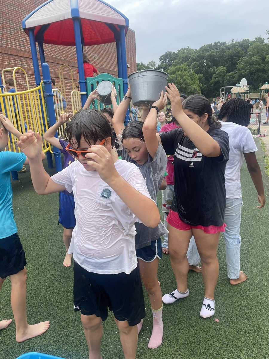 Liz Wegner tweet media