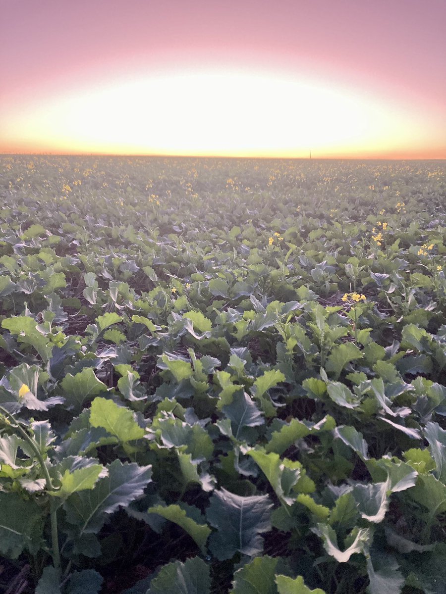 Please sign and share this petition. This is unworkable legislation being rushed in without any thought and will be crippling for agriculture parliament.wa.gov.au/Parliament/LCe…