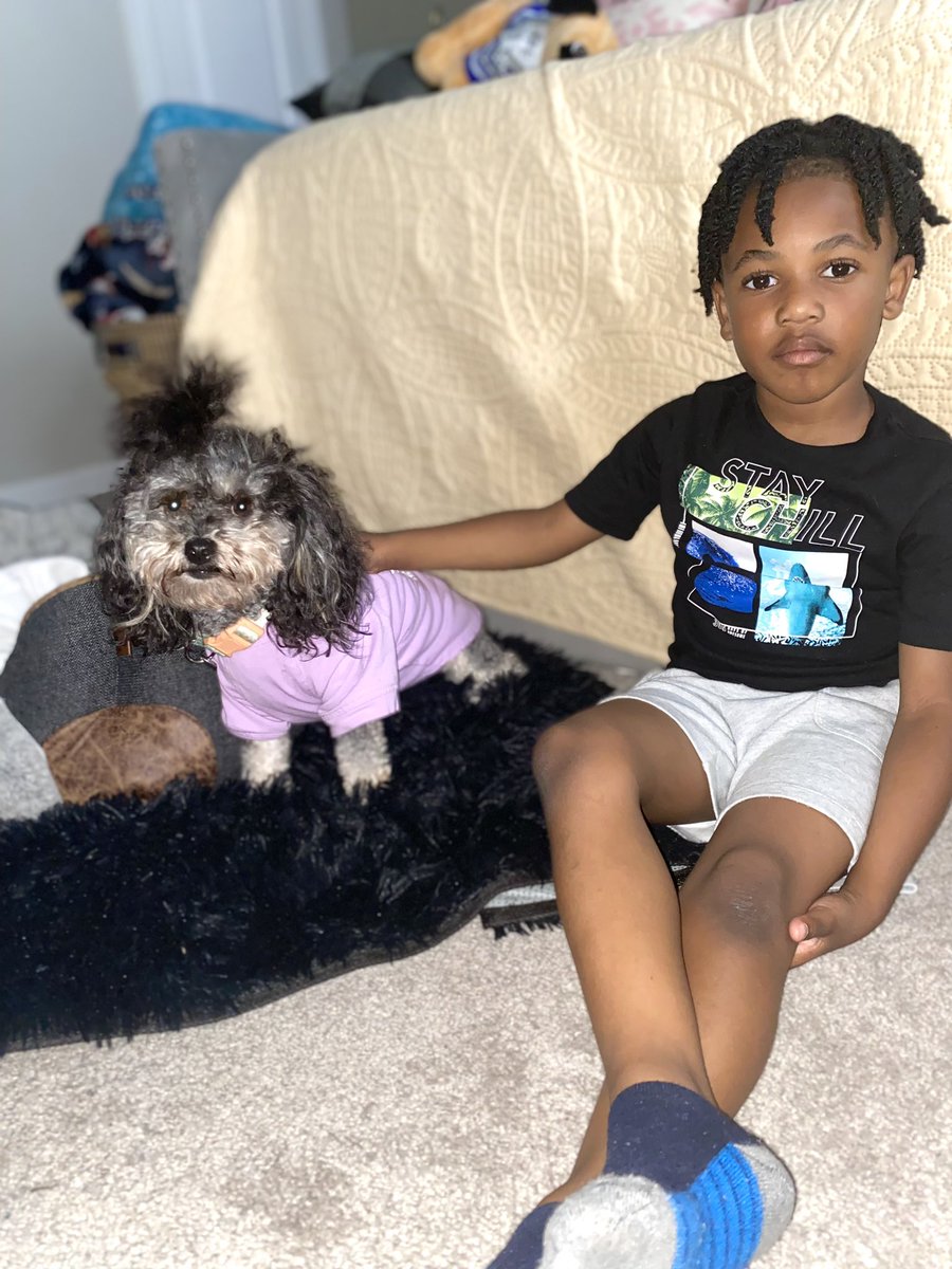 HopeandTrinity's tweet photo. Just hanging with my friends ๐โ๐ฝ๐พ Hope and Trinity #HopeandTrinity #dogs #dogsoftwitter #dogsarefamily #doggymodels #doglife #petsmart #eukanuba #akc #read #literacy #childrensbook https://t.co/2VdeoJeOlX