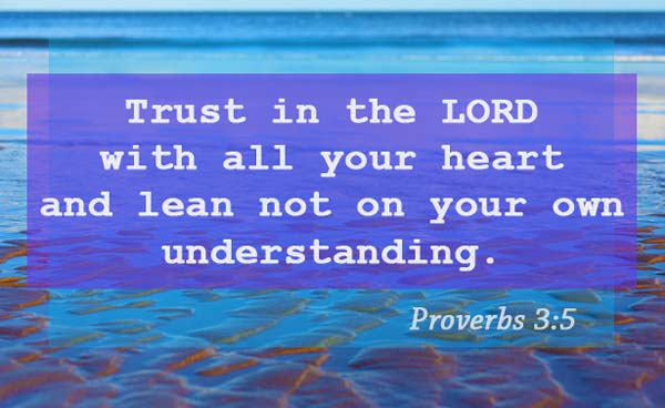 Trust in the LORD with all your heart, And lean not on your own understanding; <a href="/4u2hope/">Renée</a> <a href="/tbv_post/">The Believers Voice</a> <a href="/motherrose1/">Mother Rose</a> <a href="/godsmightyarmy/">✝️ Team Jesus ✝️</a>  <a href="/drelnora/">Dr. Elnora Rowan</a> <a href="/micheal12young/">Micheal Young</a> <a href="/alphaa16147110/">Alpha and Omega</a> <a href="/saddam62/">Saddam</a> <a href="/oneitah/">OneiTa Henderson</a> <a href="/gracesamuel888/">Grace Samuel</a> <a href="/juliannebygrace/">🕊🙏God’s Prayer Closet🙏🕊</a> <a href="/oberoikaala/">❤️LOVE IS GOD ❤️Kishore Oberoi</a> <a href="/zcarolipio/">Zen Carolipio</a>