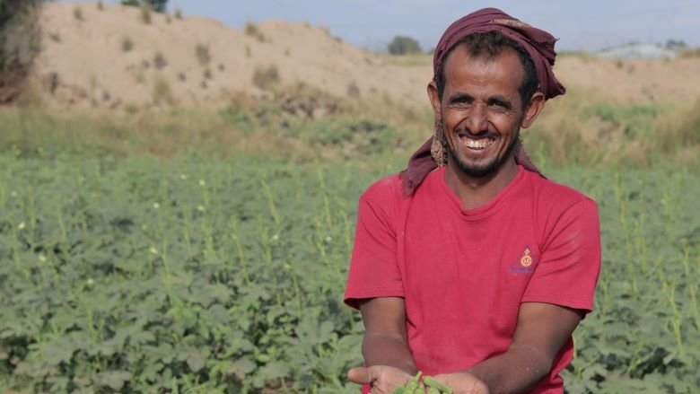 Our project in #Yemen 🇾🇪 has helped 7,000+ farmers with training and equipment for modern farming techniques to improve productivity and save fuel and water & created 47,500 more jobs: wrld.bg/GrKj50OM9wx #IDAworks