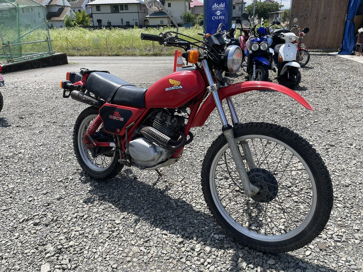 mtn_motors0713's tweet photo. 珍しいの入りました!
RD125は修理、XL250Sは入荷!
#RD125 #xl250s https://t.co/vGCxAG4zE9