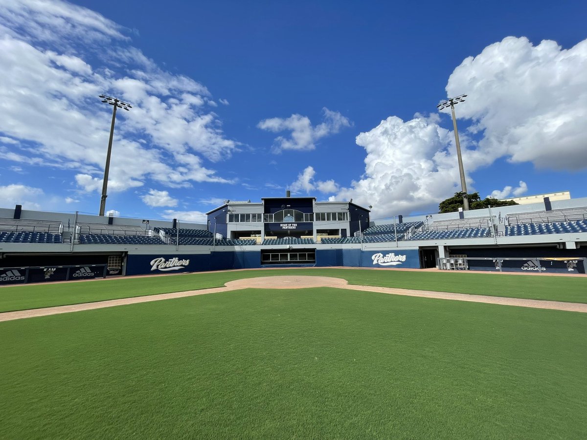 Views from the 3️⃣0️⃣5️⃣ #Pawsup