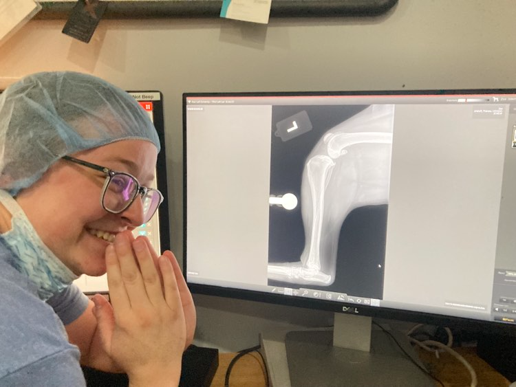 fusionfalldc's tweet photo. @CoachBurns2 Just a day in the life of a veterinary assistant to the surgery department https://t.co/RG7K3qJpGS