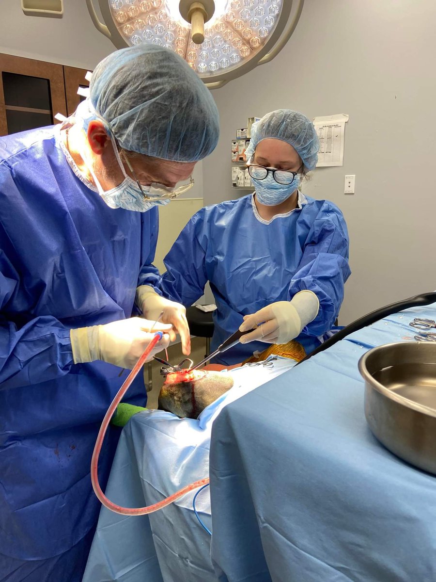 fusionfalldc's tweet photo. @CoachBurns2 Just a day in the life of a veterinary assistant to the surgery department https://t.co/RG7K3qJpGS