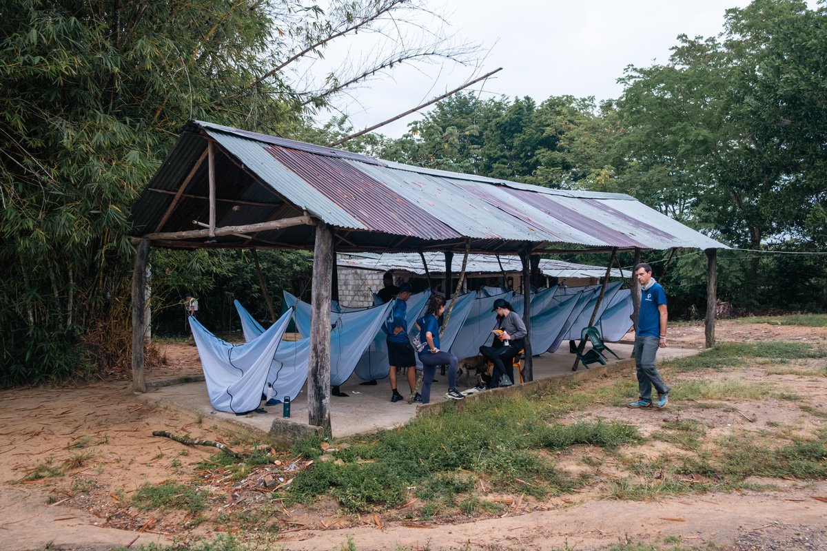 Better Earth tweet media