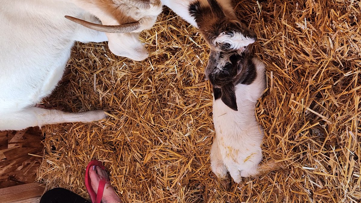 ruben velasquez Jr tweet media