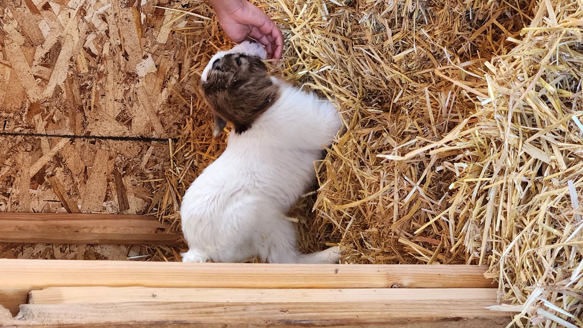 ruben velasquez Jr tweet media