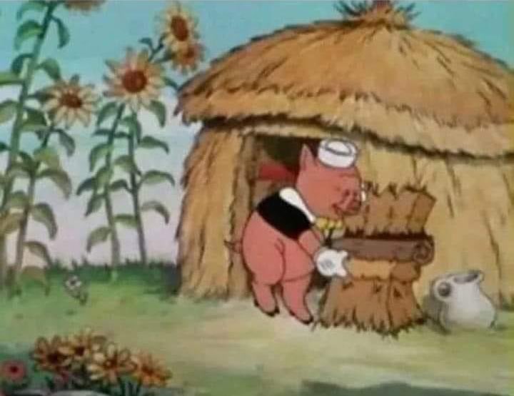 Intrapiernoso's tweet photo. Yo, haciendo una casita con todas las pajas que te he dedicado. https://t.co/MKqUAue06a
