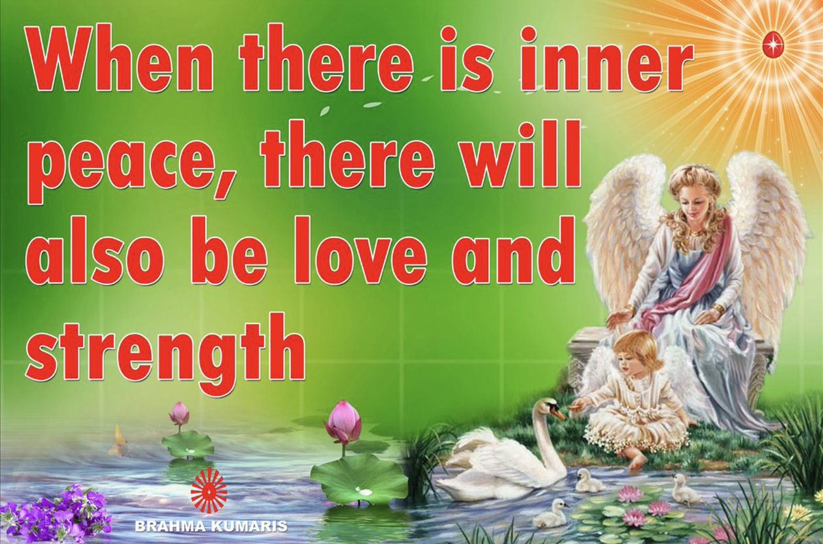 PeaceVillageNY's tweet photo. Experience Inner Peace and Love 💕 https://t.co/kR8Aq5Ucho