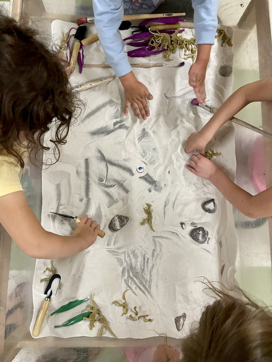 MrsVachonRECE's tweet photo. Palaeontologists hard at work finding all the dinosaur fossils in the Dino dig! https://t.co/rW3ADRYhRn