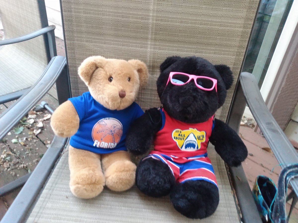 Chilling outside and waiting for pie.🐻♥️