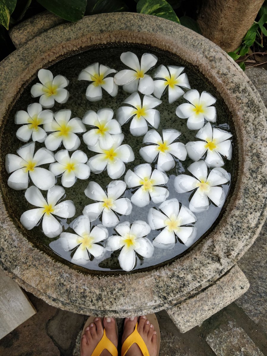 _myartjournal's tweet photo. The rituals of offering flowers is the closest to my heart. I’m obsessed with the uruli decorations at entrance and it’s a ritual to click a photo with my feet and the uruli. 🌸🌼🌺
#Uruli #FlowerDecoration #FlowerOffering #MyArtJournal https://t.co/Phf4hubPYw