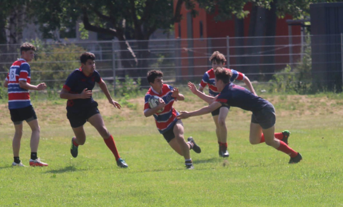 Hamburger Rugby-Verband tweet media