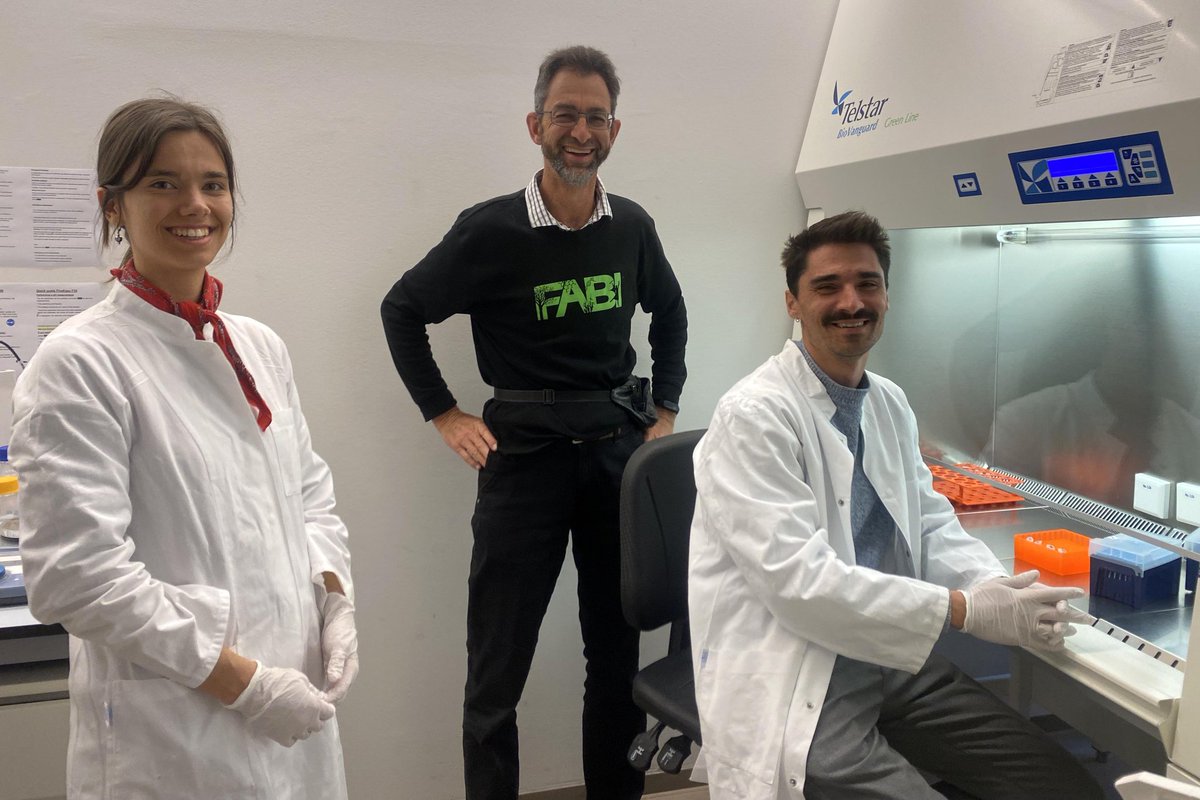 Conferences often lead to collaborations. Following a population genomics workshop by <a href="/EvaStukenbrock/">Eva H. Stukenbrock</a> at <a href="/sasppconnect/">Southern African Society for Plant Pathology</a> last year, Prof <a href="/Dave_K_Berger/">Dave K. Berger</a> recently visited colleagues in Kiel, where he presented his work and engaged with other researchers <a href="/EvoMPMI/">Remco Stam</a>