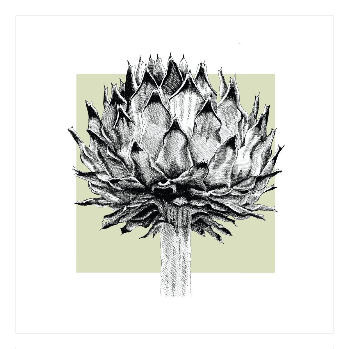 Artichoke in pen and ink.
Available framed or mounted.
etsy.com/listing/673029…
#earlybiz #wallart #artichoke