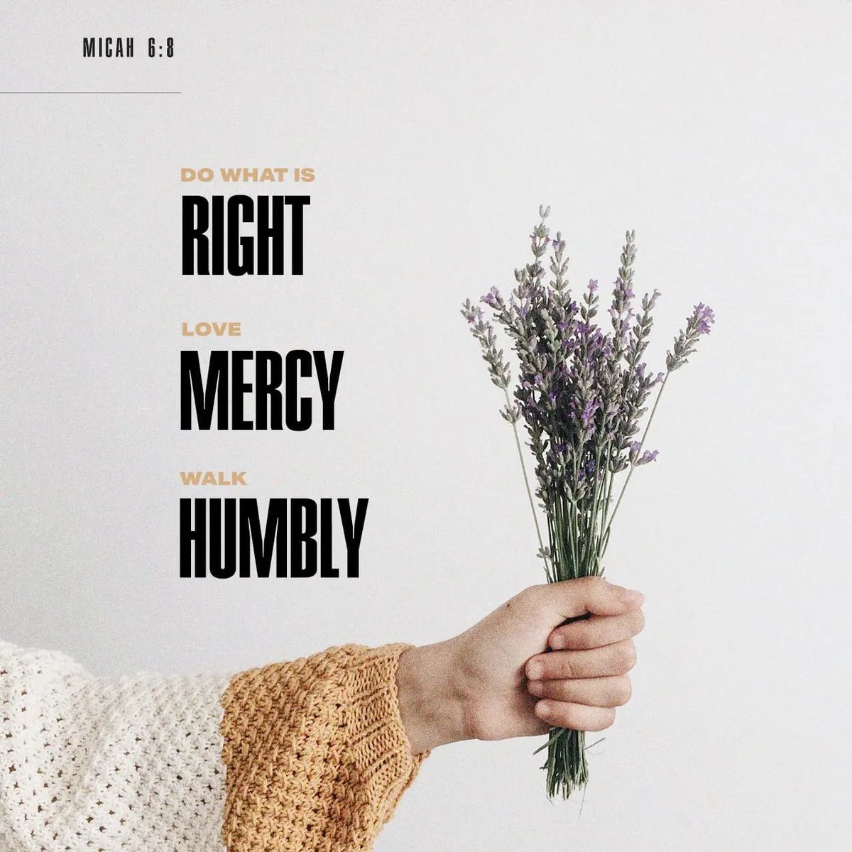 Do what is Right, Love Mercy walk Humbly.
#Micah : 6.8 
#WordOfTheDay  #VerseOfTheDay  #WordofGod #JesusChrist is the Almighty God.