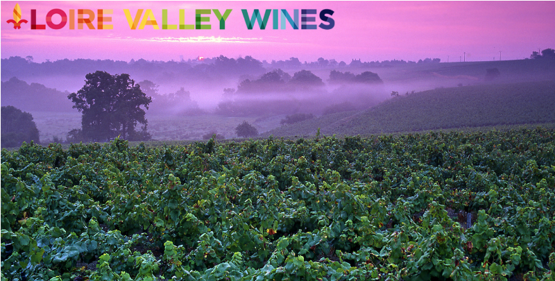 🥂 Join us for an exquisite tasting event through the vineyards of the Loire Valley on Wednesday 14th June at 7pm. Plus Father's Day Lunch Special, and Cirò Revolution Wine Supper Club - mailchi.mp/5cd5813aca07/j…