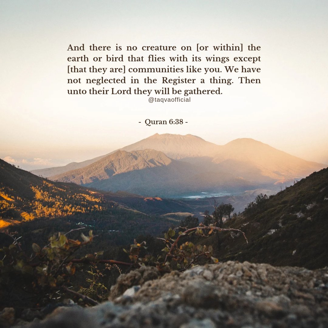 Simon Quotes in Lord of the Flies: Truth \u0026 Innocence, image size:1080x1080