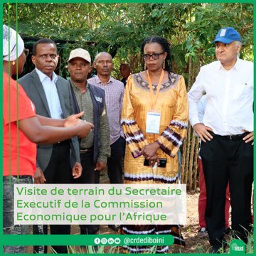 crdediboini's tweet photo. Field visit of the @ECA_OFFICIAL  Executive Secretary to @crdediboini with the @PNUD_Comoros RR to touch the @gouvkm's efforts and initiatives supported by UNDP projects and its partners.
He encouraged young people to invest in agriculture. https://t.co/9KIizH95K6