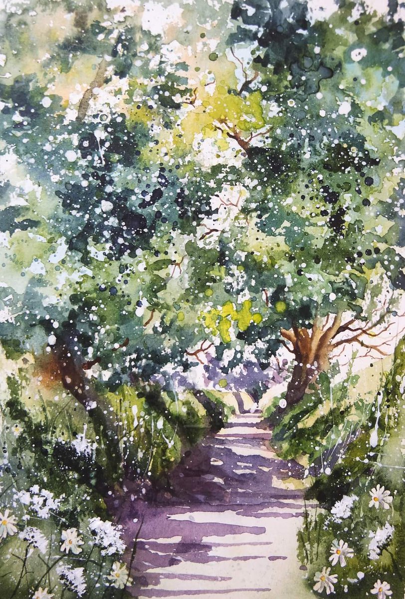 Summer Devon Lane, hope you can find the shade today x

Happy Tuesday x

#watercolour #watercolourpainting #Lane #Devon #trees #treesontwitter #shade #shadow #cowparsley #landscape #inspiration #painting #hedgerow #greens #light #paint #artist #leaves #wildlife #art #wildflowers