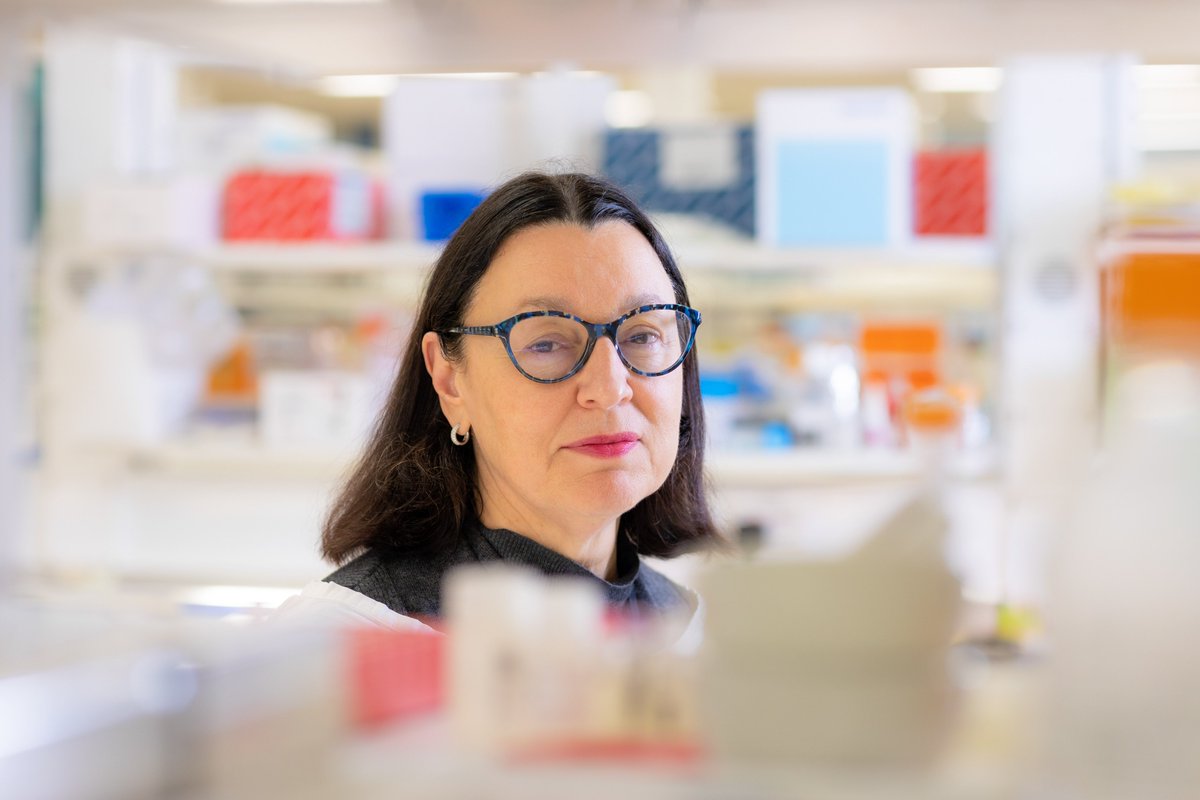 Brain & Mind Centre (@brainmind_usyd) on Twitter photo 🎉📢Congratulations to Professor Glenda Halliday, one of the world's leading neuroscientists-appointed Companion of the Order of Australia (AC) for foundational work on neurodegenerative diseases #Parkinsons
Read 🕮 bit.ly/KingsBirthdayH…
<a href="/syd_health/">Sydney Health</a> <a href="/Sydney_Uni/">University of Sydney</a> <a href="/Sydney_DDI/">Centre for Drug Discovery Innovation</a> 🎉📢Congratulations to Professor Glenda Halliday, one of the world's leading neuroscientists-appointed Companion of the Order of Australia (AC) for foundational work on neurodegenerative diseases #Parkinsons
Read 🕮 bit.ly/KingsBirthdayH…
<a href="/syd_health/">Sydney Health</a> <a href="/Sydney_Uni/">University of Sydney</a> <a href="/Sydney_DDI/">Centre for Drug Discovery Innovation</a>