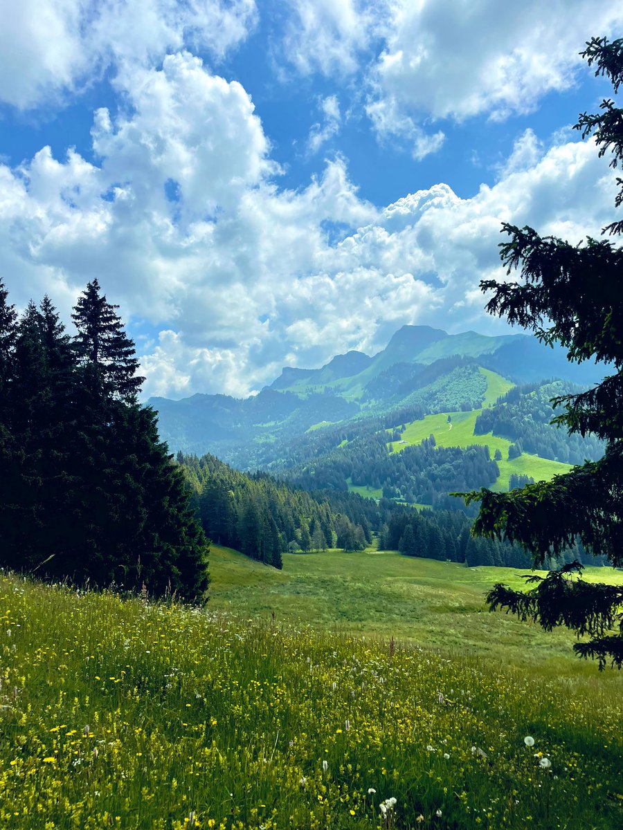 Hiking in the mountains of canton Fribourg/Freiburg ♥️🇨🇭