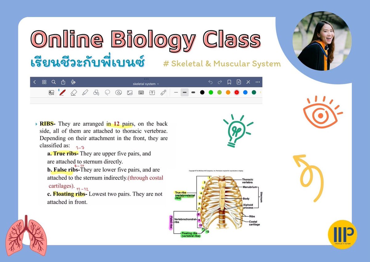 Bio4u_'s tweet photo. Online Biology class 🌱เรียนชีวะกับพี่เบนซ์ ✨คลาสเรียนเดี่ยว #ชีวะ  ม.5 N’Ing แผนการเรียนวิทย์-คณิต (English Program) เรื่อง ระบบโครงกระดูกและกล้ามเนื้อ 
#เรียนพิเศษออนไลน์ #สอนพิเศษออนไลน์ #ชีววิทยา #เรียนพิเศษชีวะ #สอนพิเศษชีวะ #dek68 #dek69 #alevel #EP https://t.co/jiBWcIMaKJ