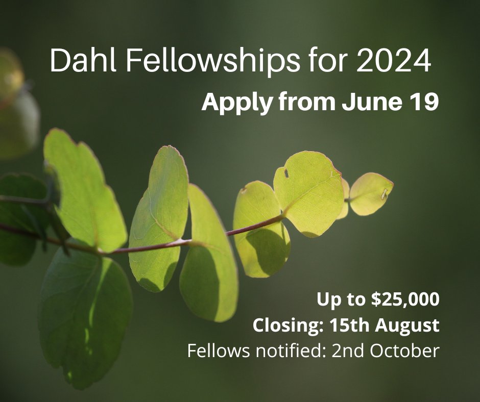 Calling all Australian artists, writers, researchers, educators, makers, historians, app-developers etc.!
Our Dahl #Fellowships for 2024 open 19th June!
Pitch your project related to #eucalypt #conservation, research, or community #education! Details: eucalyptaustralia.org.au/grants/dahl-fe…