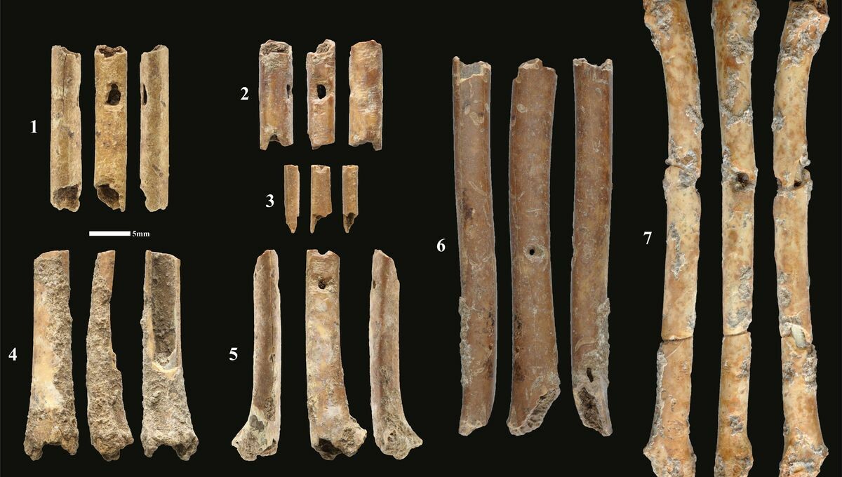 Des flûtes vieilles de 12 000 ans découvertes au Proche-Orient imitent le cri de rapaces. Les scientifiques ont fait de l’archéologie expérimentale pour en étudier le son. Le résultat est 😲.
➡️ l.franceculture.fr/yjS