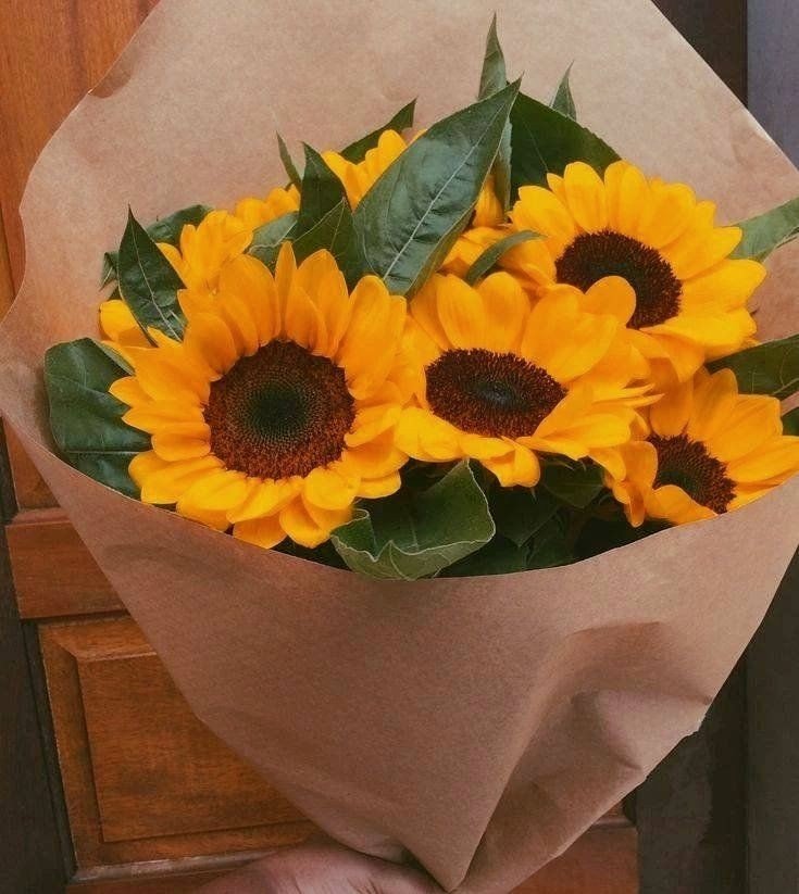 sunflowerchives's tweet photo. Who doesn’t love sunflowers?😍 https://t.co/lP2loq0FWQ