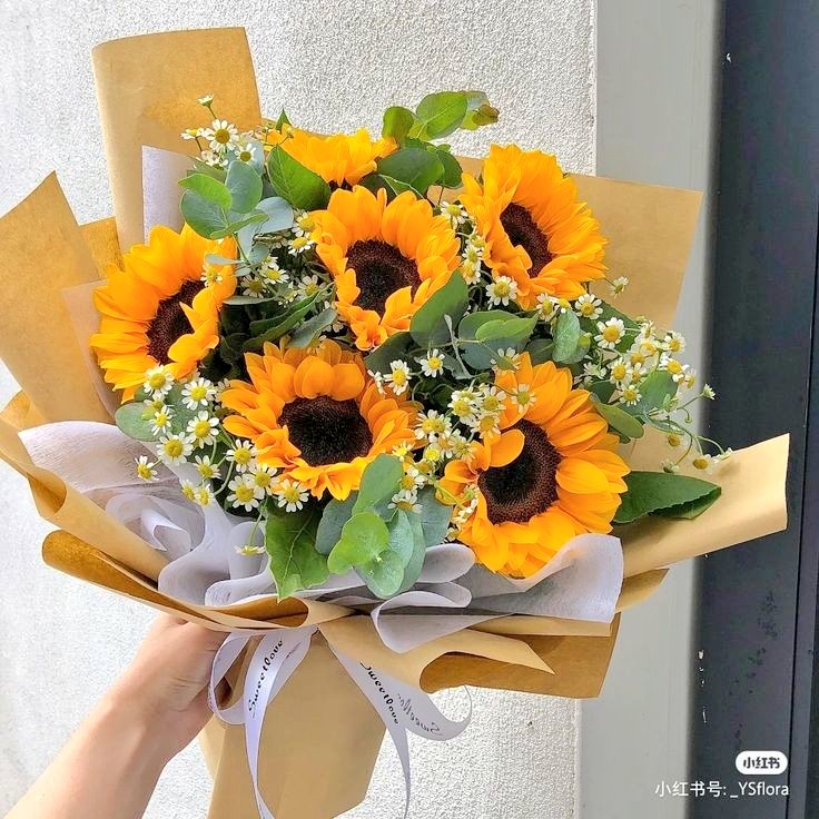 sunflowerchives's tweet photo. Who doesn’t love sunflowers?😍 https://t.co/lP2loq0FWQ